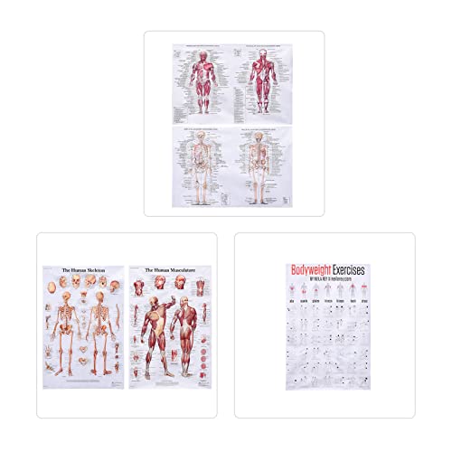 Regalo a sorpresa: ideale per casa, bar, corridoio, ufficio, camera dei bambini, decorazione per la casa e l'ufficio, compleanno, Natale, regali per feste
