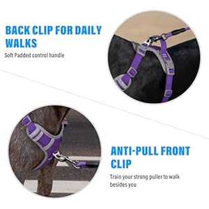   Plutus-Pet-No-Pull-Dog-Harness-Release-At-Neck-Reflective-Adjustable-Dog-Vest-Harness-Easy-Control-Handle-for-Walking-for-Small-Medium-Large-Dogs-Purple-M