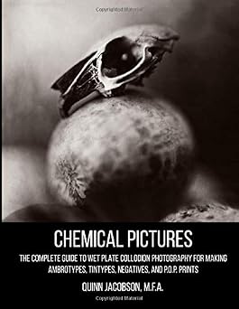 Chemical Pictures Making Ambrotypes, Tintypes, Negatives and Prints
