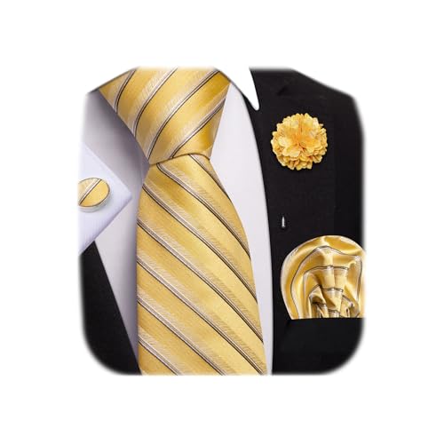 Image of Dubulle Mens Tie and Lapel Pin Paisley Striped Floral Necktie for Men Pocket Square Cufflinks 4PCS Set Wedding Party