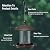 Youvip Metal Roof Bird Feeder - Chew Proof for Outdoor Hanging Wild Bird Seeds. Bronze