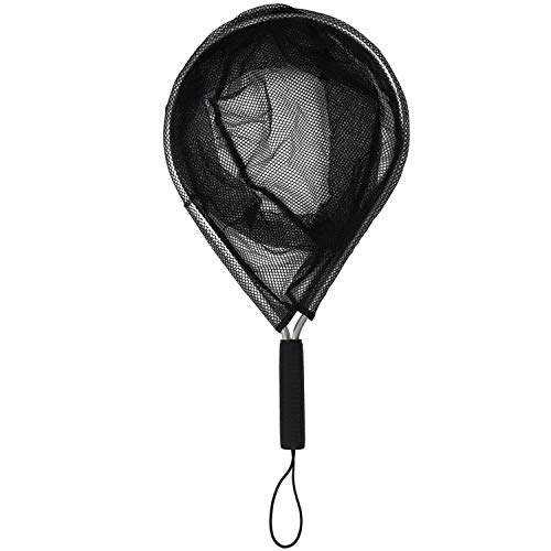 Wresetly A~jE fBOlbg tCtBbVOtBbV Z[o[ iCmbgX bVgEgnhlbg