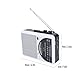 LAISANIM Retro Cassette Player with Auto Reverse, Portable Tape Player AM/FM Radio, Digital LED Display, Built in Speaker, Recording Function, Headphone Jack for Garden, Walking