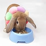 Elizabeth Halskrause für Kaninchen, verstellbar, für Kaninchen, Chinchilla, Meerschweinchen, Kätzchen nach Operationen, Wundheilung, für kleine Tiere (Größe XS)