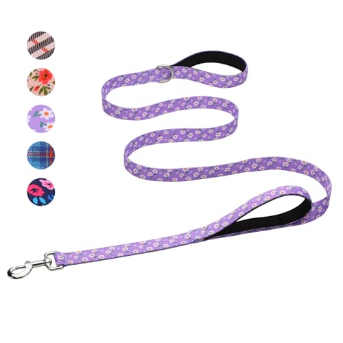 Hikiko Cute Girl Double Handle Dog Leash 6 Foot Padded Traffic Handles for Walking Training (Purple Floral 6ft)