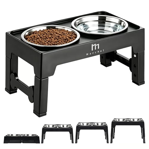 Marchul Gamelle Chien Surélevées de 4 Hauteurs Ajustables, Gamelle pour Chien avec 2 Bols en Acier Inoxydable, Pliable, Antidérapant, Convient aux Petits,...