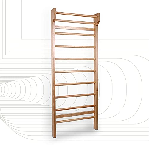 SportPlus échelle suédoise/Espalier, en Bois, Brun, Taille Unique, pour Enfants et Adultes, entraînement, pilate, Stretching, Yoga, physiothérapie, Gym, Poids d’utilisateur jusqu'à 100kg, SP-SL-195