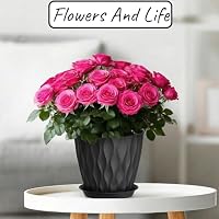 Bailtouk Blumentopf mit Untersetzer 5er Set, 12.6cm Kunststoff Pflanzentopf – Ansicht 4
