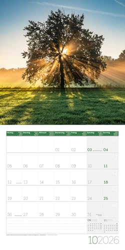 Magie des Lichts Broschürenkalender 2026 - 30x30 - Art12 | Geschmackvoller Landschaftskalender im schlanken Hochformat (aufgeklappt 30x60 cm) | Notiz