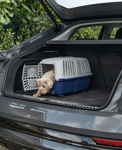 lionto Hundetransportbox aus robustem recyceltem Kunststoff, 55x36x36 cm, Transportbox mit praktischem Schließsystem & Tragegriff, auch geeignet für Katzen & Kleintiere, für Haustiere bis 15kg blau