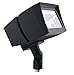 RAB Lighting FFLED39 Future Flood 39-watt Cool Led 120-volt To 277-volt, Bronze (2 Pack)