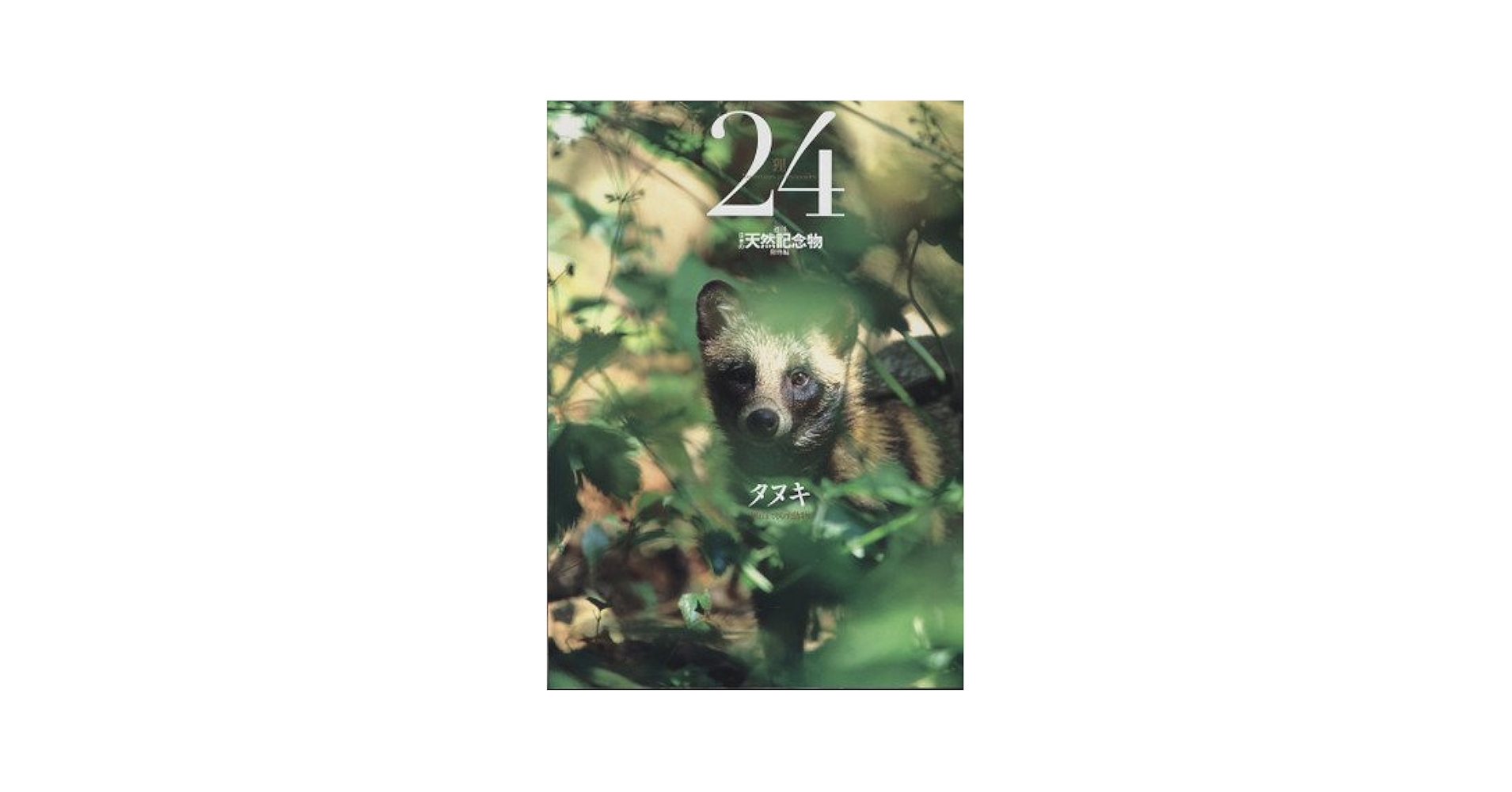 希少品 小学館 週刊 日本の天然記念物 52体セット まとめ売り 希少品&大量】小学館 週刊 日本の天然記念物 52体セット 4ケース