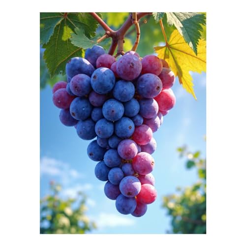 TZTTZT Kit per pittura con diamanti per adulti, grappolo d'uva