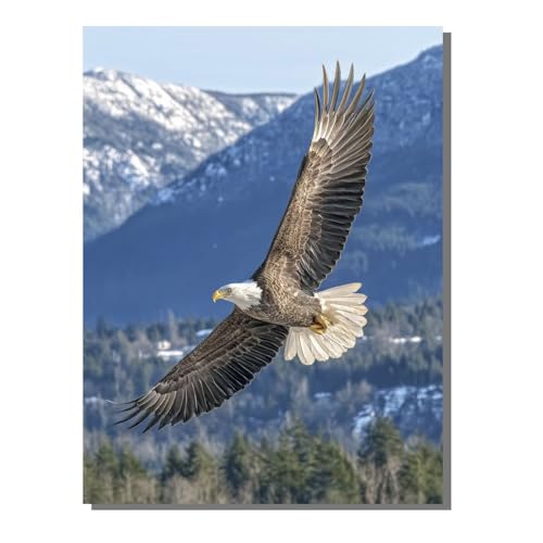 G  hG (t[t) l̎q̂߂̃Mtg ŃyCg SҌ LbgŃyCg fW^G C[O 40x55 cm uVƃANG̋Ă܂ DIY Paint by Numbers rO[ C