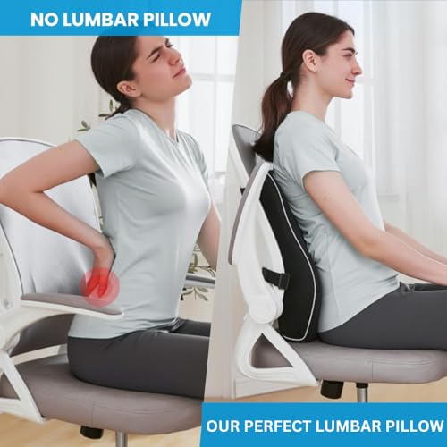 Image of Queen Size Back Support for Office Chair Lumbar Support Pillow for Office Chair for Back Pain, Car Seat, Memory Foam (Removable Cover)