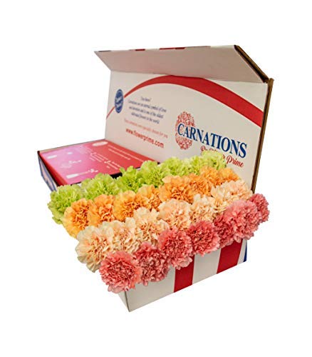 Flowerprime 100 Easter Carnations - Special Holiday Variety Pack Fresh Natural Cut Flowers #TOP3