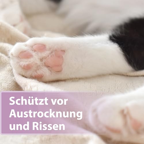 Felisept Pfotenpflege für Katzen 75g - Pfotenpflege Katze - Pfotenbalsam Katze - Schützt vor Austrocknung und Rissen - Schnell einziehend, ohne Fettfilm - Reichhaltige Pflege und Feuchtigkeit