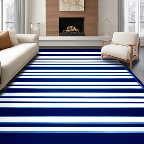 ODIKA Flatwoven High Traffic Area Rug 8x10, Illuminated Striped with