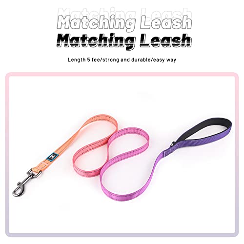 Roses&Poetry Reflective Dog Collar And Leash For Large Dogs thumb #1
