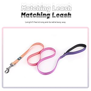 RosesPoetry-Reflective-Dog-Collar-and-Leash-Set-Purple-Martingale-Dog-Collar-and-Leash-for-Medium-Dogs-Adjustable-Durable-Nylon-Pet-Collars-with-Leashes-for-WalkingPlayingTrainingMistyrose-M - Cucciolini Doodles   RosesPoetry-Reflective-Dog-Collar-and-Leash-Set-Purple-Martingale-Dog-Collar-and-Leash-for-Medium-Dogs-Adjustable-Durable-Nylon-Pet-Collars-with-Leashes-for-WalkingPlayingTrainingMistyrose-M