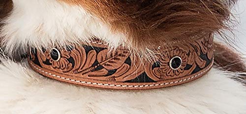 MICHUR Jose Hundehalsband Leder, Lederhalsband Hund, Halsband, Beige, Leder, mit gefärbten Bereichen in Schwarz und Schwarzen Steinen, in verschiedenen Größen erhältlich