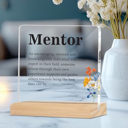 Image of Giftplease Mentor Plaque with Wooden Stand Personalized Gift for Mentor, Coach, Teacher, Appreciation Keepsake, Clear Desk Decor, Inspirational Thank You Gift, Office Table Display MP 70