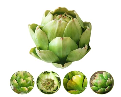 Listado de Alcachofas móviles los más recomendados. 23 Imagen adicional