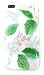 Kate Spade Protective Hardshell Case for iPhone Leaf/Green/Clear (iPhone 8 Plus/7 Plus/6s Plus/6 Plus)