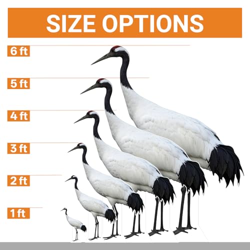 Image of Red-Crowned Crane, 3FT Life Size Cardboard Cutout Standup, 1 PC | Animal Standup, Life Size, for Events, Party Decor, Birthday Parties, Photo Backdrops, Holiday Decor & All Occasions