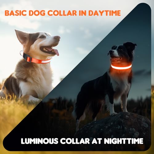 Hundehalsband Leuchtend USB Aufladbar - Leuchthalsband Hund 7 RGB Farbwechsel mit 8 Leuchtmodi, Dickes Verstellbares LED Hundehalsband Wasserdicht für Kleine Mittlere Große Hunde Leuchtendes Halsband