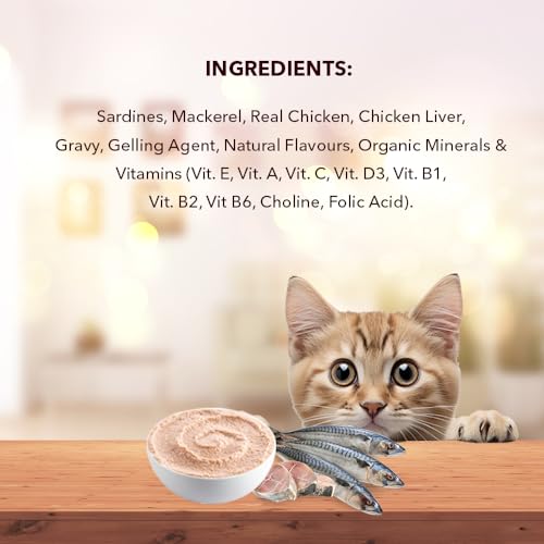 Image of Meat Up Adult Cat Wet Food 16 Pouches x 50g, Total 800g | Real Ocean Fish in Gravy | Supports Heart & Vision | Strong Bones & Teeth | Natural Flavors | Organic Minerals