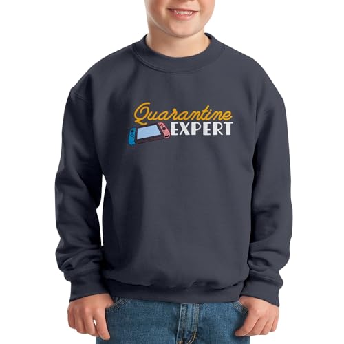 Sweatshirt enfant retro gaming arcade gris - Pull gamer quarantine expert