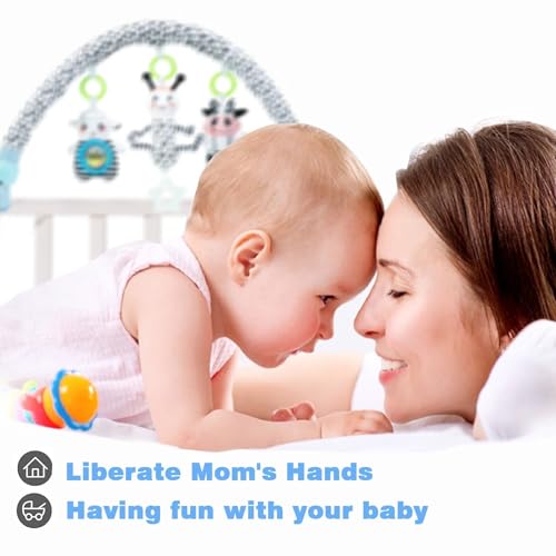 Image of Pau1Hami1ton Baby Stroller Arch Toys, Car Seat Toys,Baby Gifts.S-19(Ant)