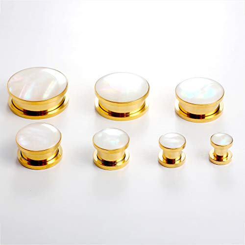 Casvort 2 PCS 6mm-25mm Hypoallergenic 316 Stainless Steel Elegant Conch Ear Tunnels Plugs Ear Gauges Stretcher Body Piercing Jewelry for Women Men3