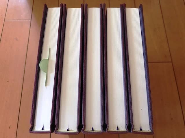 自体無/プラスワン出版社/宗真（単行本） Amazon.co.jp: 【帯付・箱入】 宗真 自体無 全5冊 プラスワン