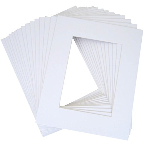 10 of 20x24 White Pre-cut Acid-free whitecore mat for 16x20 + back+bag - //coolthings.us