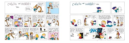 The Calvin and Hobbes Portable Compendium Set 3: Volume 3
