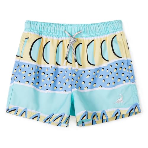 Image of SURF CUZ Boys Swim Trunks Toddler Swim Shorts UPF 50+ Bathing Suit for Boy Swimsuit Quick Dry Mesh Beach Boardshorts Swimwear