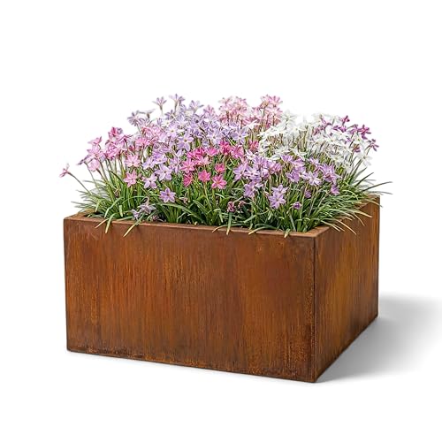 Czaja Cortenstahl Pflanzkübel 60x60x30 cm Fiorella Rost Deko Blumenkübel quadratisch wetterfest & langlebig Garten Terrasse Balkon Edelrost Pflanzgefäß