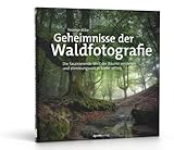 Geheimnisse der Waldfotografie: Die faszinierende Welt der Bäume verstehen und stimmungsvoll in Szene setzen - Yvonne Albe 