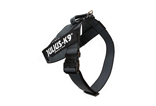 Julius-K9, IDC® Color & Gray® Beltgeschirr
