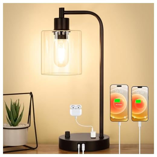 Industrial Table Lamp with 2 USB Charging Ports, Fully Stepless Dimmable Modern Nightstand Lamp, Glass Shade Bedside Desk Lamp for Bedroom Living Room Office, 6W 2700K LED Edison Bulb Included