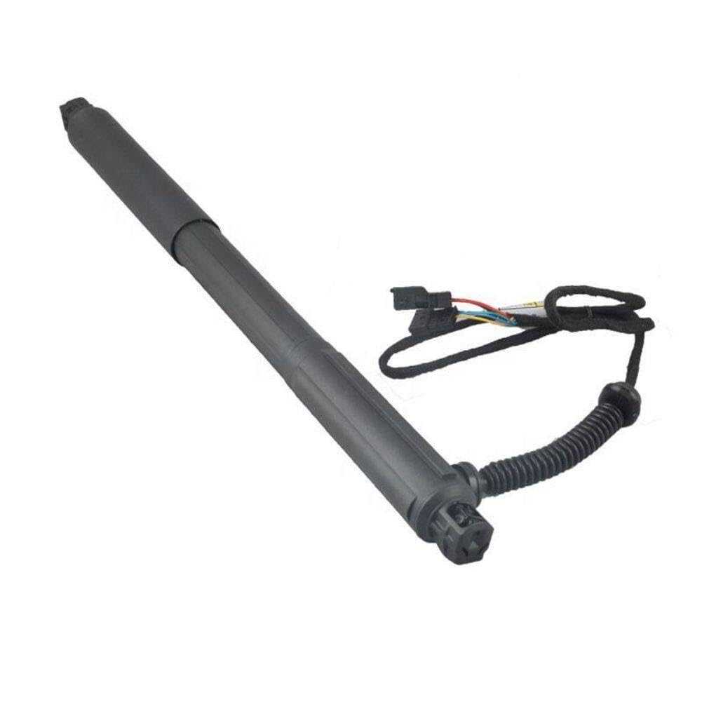Amazon.com: NUOZHIHAN-AUTO PARTS NO# 51247332695 Electric strut 