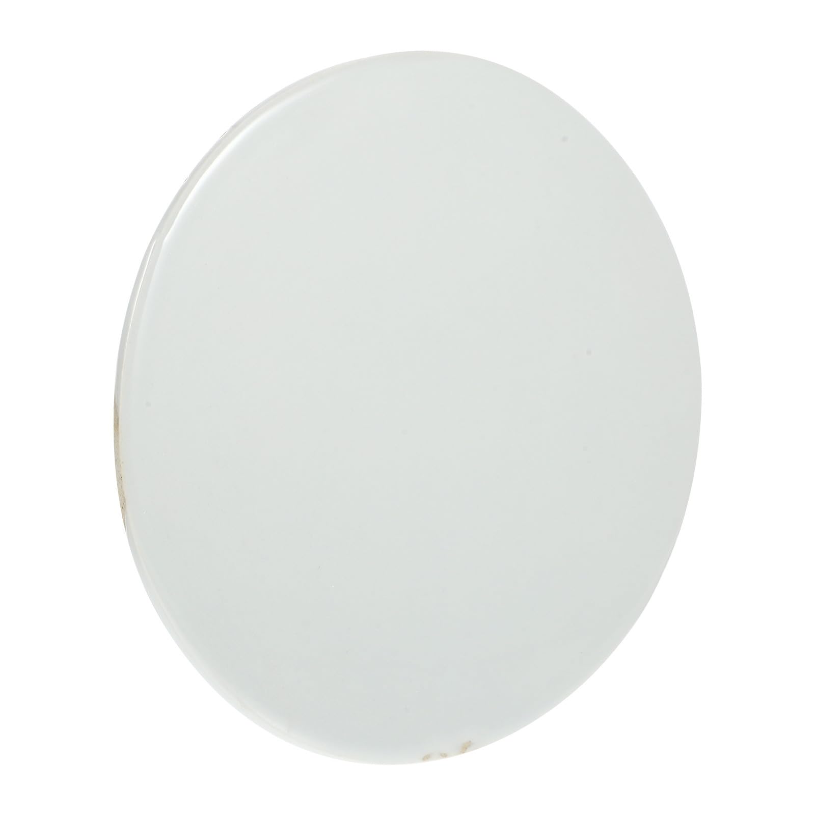 Veemoon Piatto in Ceramica Bianco Fai da Te per Pittura a Mano, Scheda Artistica Liscia e Vuota per Pratica di Graffiti e Hobby Artistico Creativo per Ragazzo Ragazza
