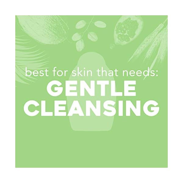 OGX-Pink-sea-salt-rosewater-gentle-soothing-body-scrub-195-Ounce-10-Count OGX Sensitive + Pink Sea Salt & Rosewater Sulfate-Free Soothing Body Scrub with Healing Rose Quartz, Gentle Exfoliating Daily Body Wash to Soften & Smooth Skin, 19.5 Fl Oz