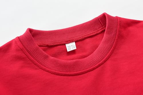 Little Hand Toddler Boys Dinosaur Sweatshirts Dump Truck Love Shirts Sport Pullover Active Shirt Kids 2-7 Years4