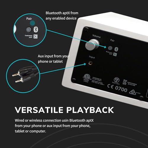 Image of Audioengine All in One A2+ (B2) Portable Wireless Speaker - Audio with Lossless aptX Bluetooth and Analog Audio Input for Phone, Tablet, and Computers