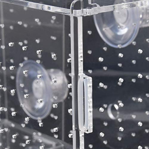 Atpwonz Fish Breeding Box, Acrylic Fish Isolation Box Aquarium Hatchery Incubator With Suction Cups For Newborn Fry Shrimp Guppy Clownfish Aggressive Fish, 11.5" X 6" X 6" #TOP5