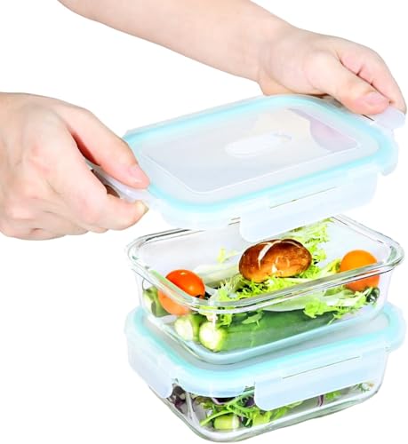 Hcrvvi Food Containers, Leakproof Glass Containers With Lids, Meal Prep Containers Reusable 2 Pieces 640ml Capacity Microwave, Freezers & Dishwashers Safe