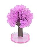 DIVERTIDO : Impresiona a niños y adultos con este árbol de cerezo japonés que florece en solo 24 horas